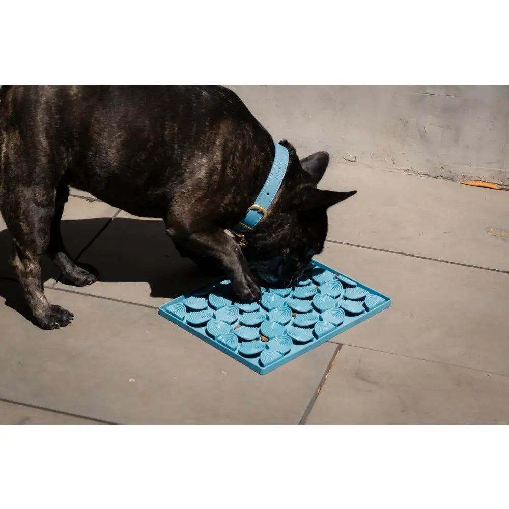 Fuzzyard Life Hide & Treat Mat in French Blue - Fuzzyard - 3