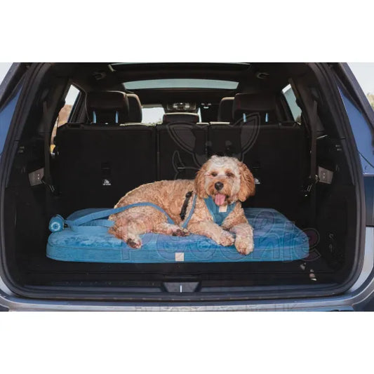 Fuzzyard Life Lounge Mat in French Blue - Fuzzyard - 2