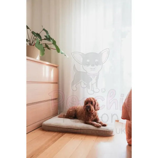 Fuzzyard Life Lounge Mat in Sandstone - Fuzzyard - 2