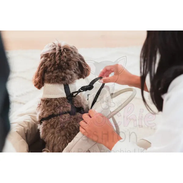 Fuzzyard Life Multipurpose Dog Carrier & Car Seat in Sandstone Fuzzyard 12