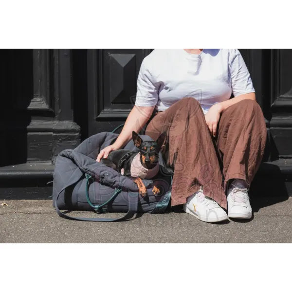 Fuzzyard Life Multipurpose Dog Carrier & Car Seat in Slate Grey - Fuzzyard - 4