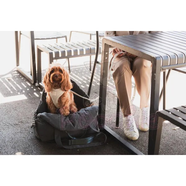 Fuzzyard Life Multipurpose Dog Carrier & Car Seat in Slate Grey - Fuzzyard - 7