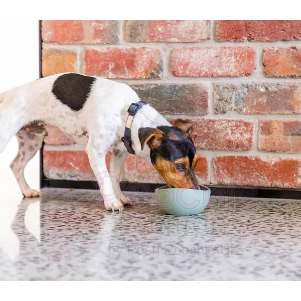 Fuzzyard Life Silicone Dog Bowl in Myrtle Green Fuzzyard 3