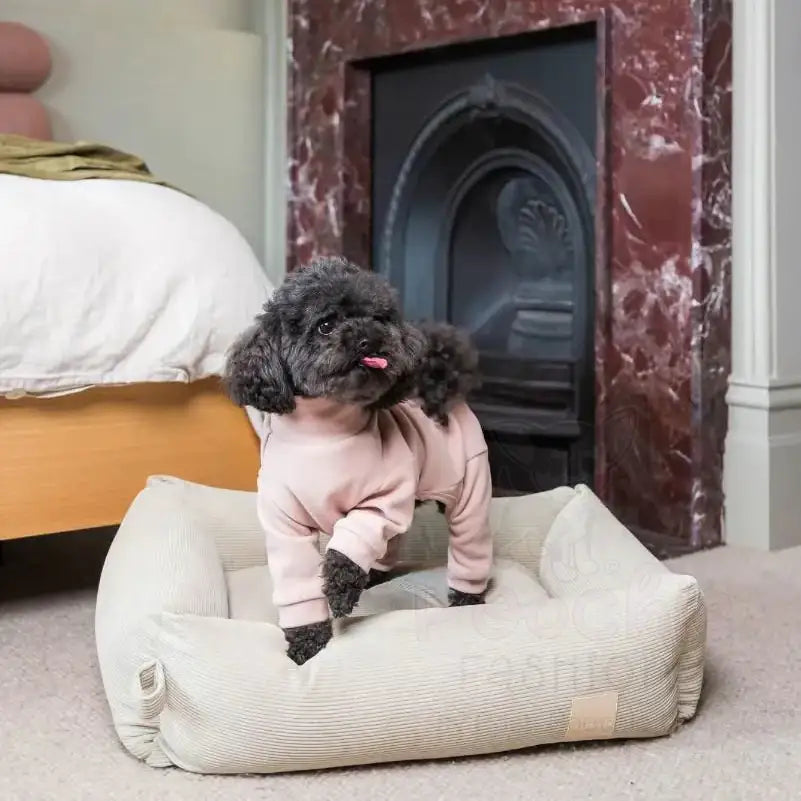 Fuzzyard Life Soft Touch Pyjamas in Soft Blush - Fuzzyard - 2