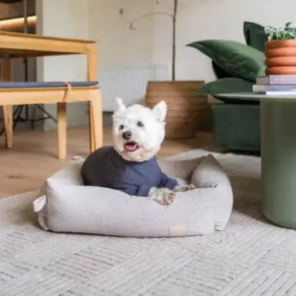 Fuzzyard Life Soft Touch Pyjamas in Slate Grey - Fuzzyard - 2