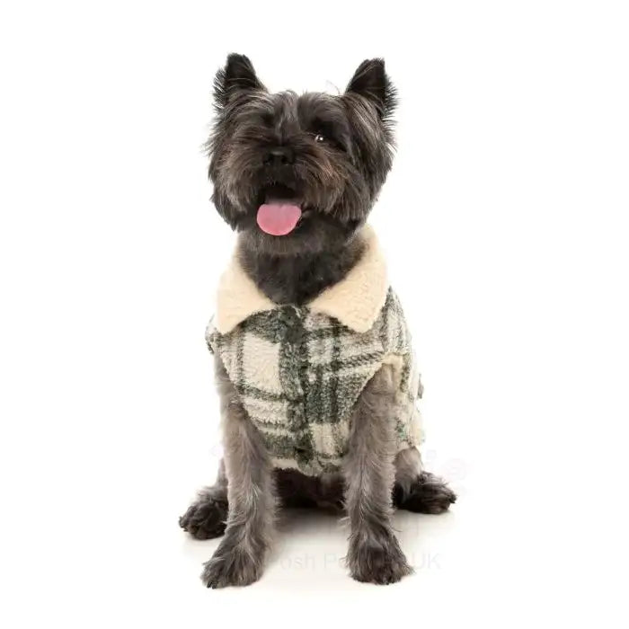 Fuzzyard Lumberjack 25 Dog Jacket - Money Green/cream - Fuzzyard - 5