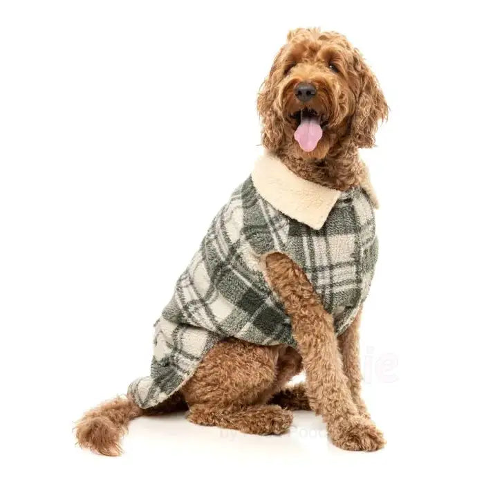 Fuzzyard Lumberjack 25 Dog Jacket - Money Green/cream - Fuzzyard - 7