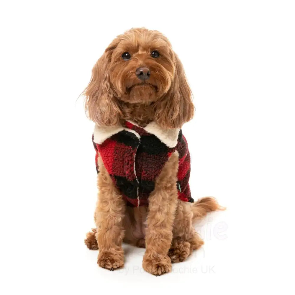 Fuzzyard Lumberjack 25 Dog Jacket - Red - Fuzzyard - 5