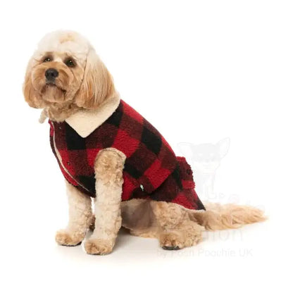 Fuzzyard Lumberjack 25 Dog Jacket - Red - Fuzzyard - 3