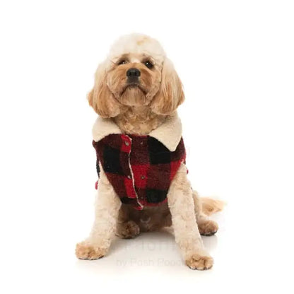 Fuzzyard Lumberjack 25 Dog Jacket - Red - Fuzzyard - 6