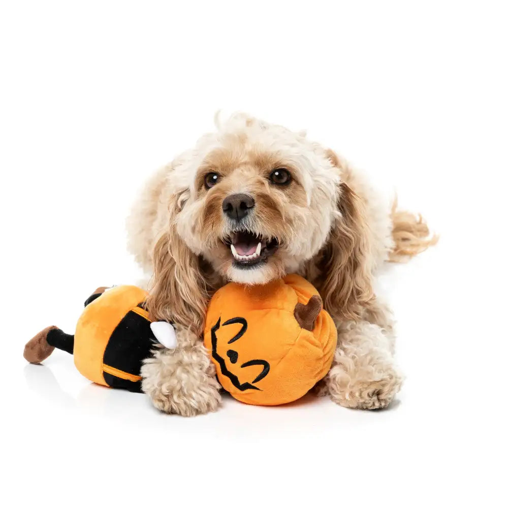 Fuzzyard Michael Gourdan Plush Halloween Dog Toy - Fuzzyard - 2