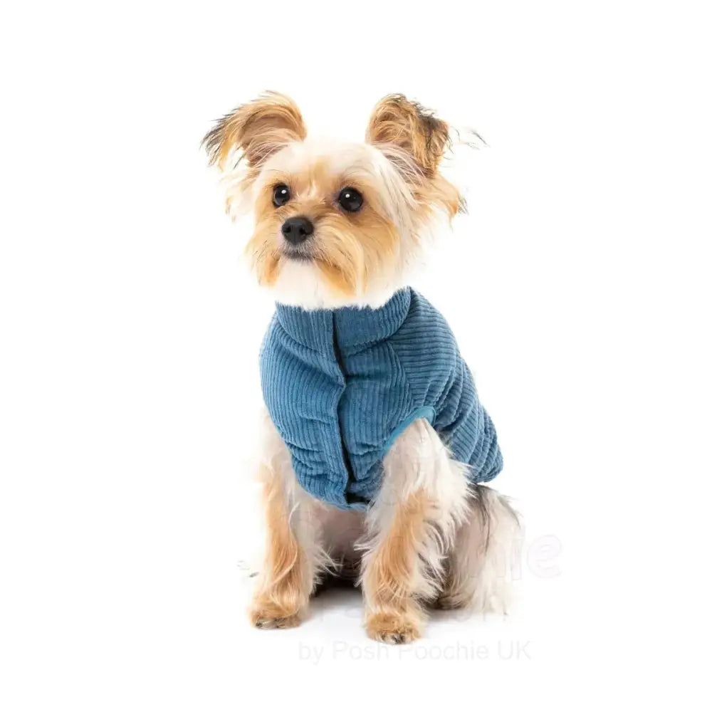 Fuzzyard Mosman Puffer Dog Jacket - Washed Blue - Fuzzyard - 6