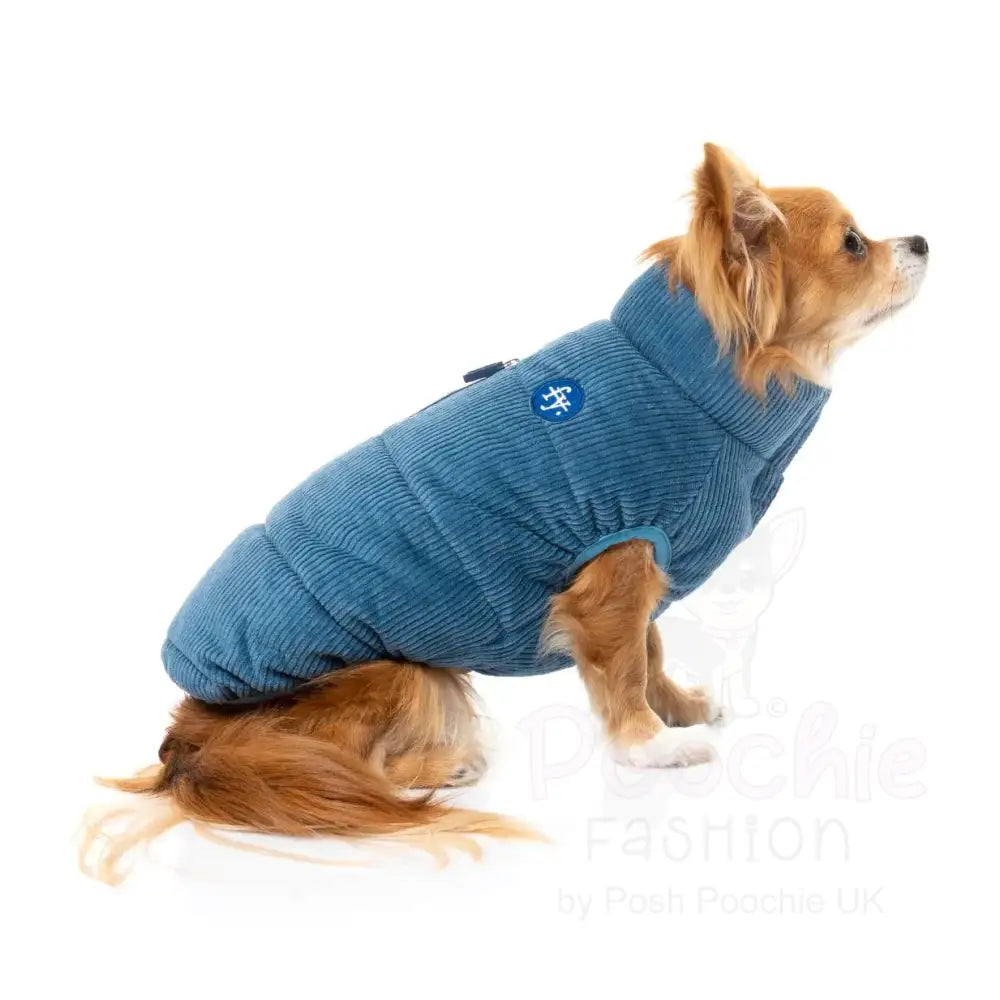 Fuzzyard Mosman Puffer Dog Jacket - Washed Blue - Fuzzyard - 5