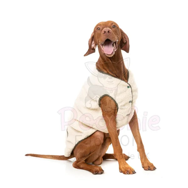 Fuzzyard Nara Reversible Dog Jacket - Beige - Fuzzyard - 9