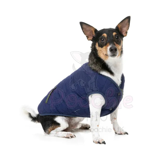 Fuzzyard Nara Reversible Dog Jacket - Dark Moss - Fuzzyard - 8