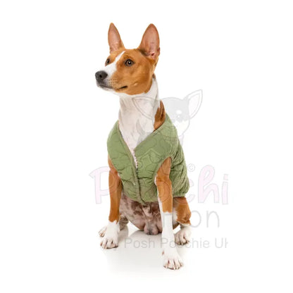 Fuzzyard Nara Reversible Dog Jacket - Pink - Fuzzyard - 10