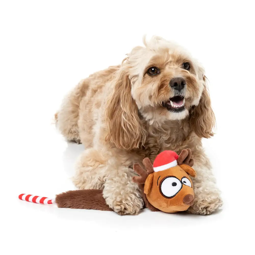 Fuzzyard Runaway Reindeer Squeaky Plush Christmas Dog Toy - Fuzzyard - 2