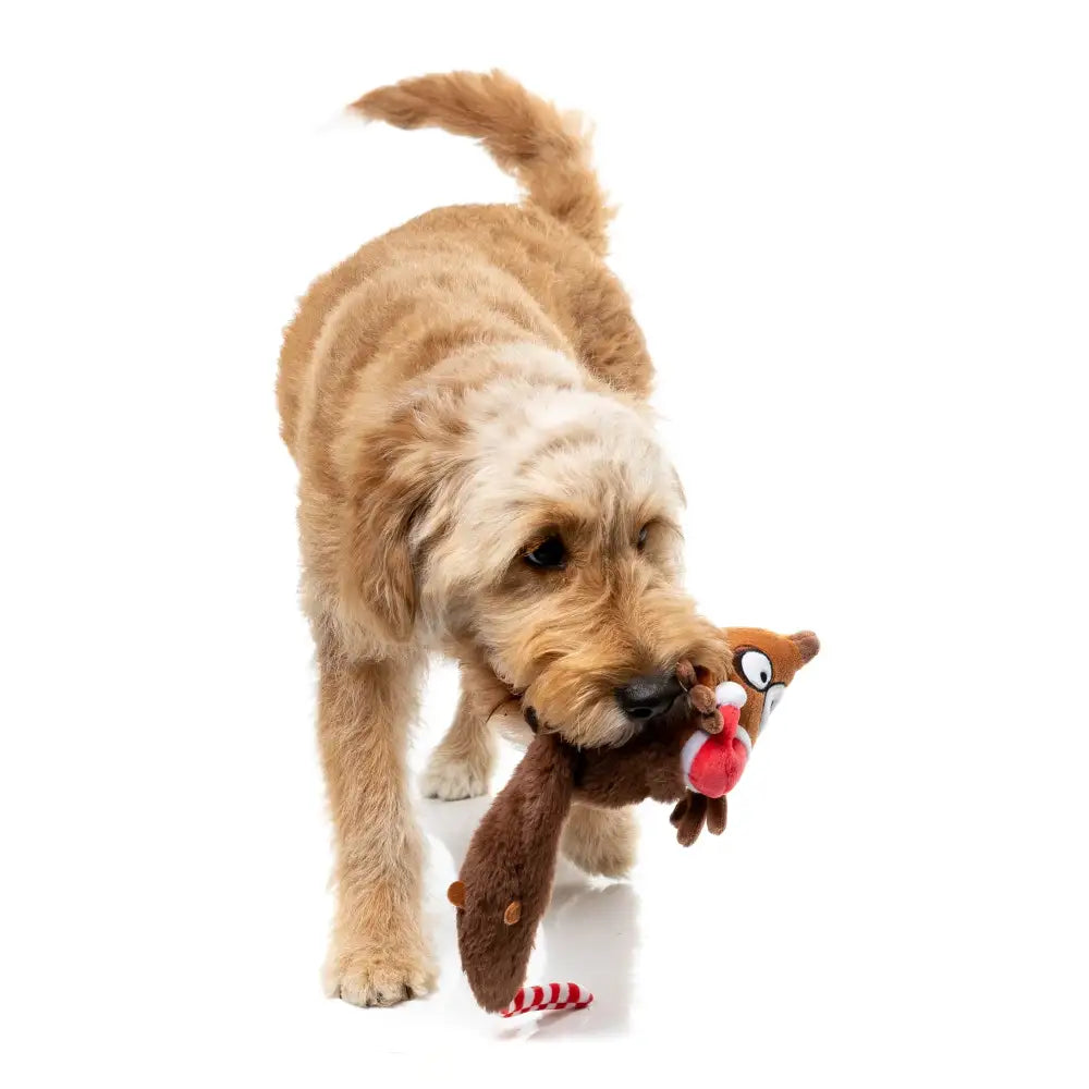 Fuzzyard Runaway Reindeer Squeaky Plush Christmas Dog Toy - Fuzzyard - 5