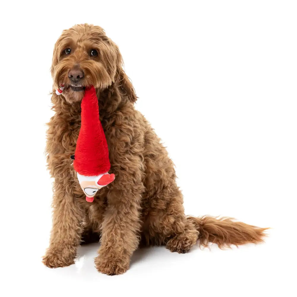 Fuzzyard so Long Santa Squeaky Plush Christmas Dog Toy - Fuzzyard - 2