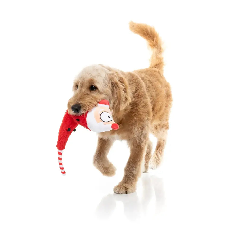Fuzzyard so Long Santa Squeaky Plush Christmas Dog Toy - Fuzzyard - 7