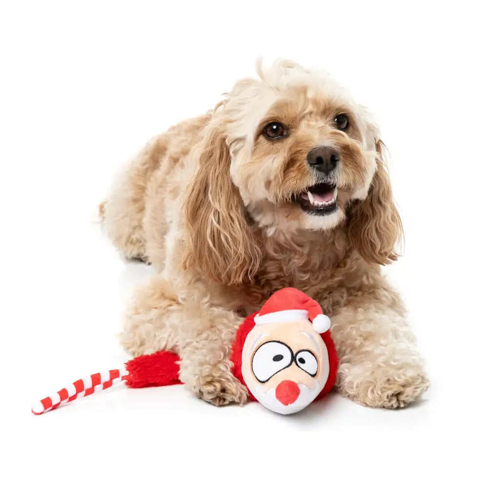 Fuzzyard so Long Santa Squeaky Plush Christmas Dog Toy - Fuzzyard - 4