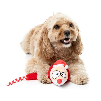 Fuzzyard so Long Santa Squeaky Plush Christmas Dog Toy - Fuzzyard - 4