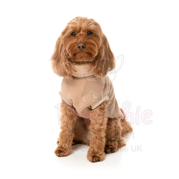 Fuzzyard Stevie 24 Dog Sweater - Beige - Fuzzyard - 4