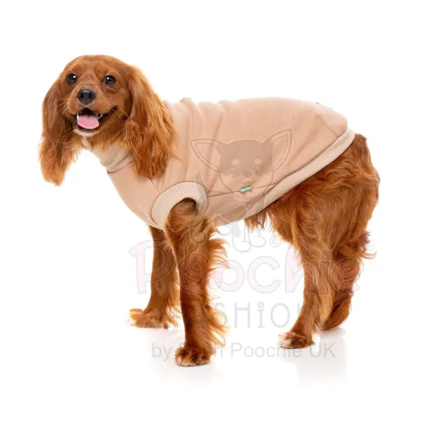 Fuzzyard Stevie 24 Dog Sweater - Beige - Fuzzyard - 5