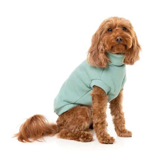 Fuzzyard Stevie 24 Dog Sweater - Mint - Fuzzyard - 1