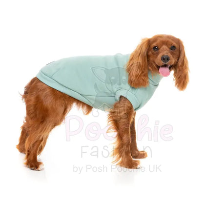 Fuzzyard Stevie 24 Dog Sweater - Mint - Fuzzyard - 4