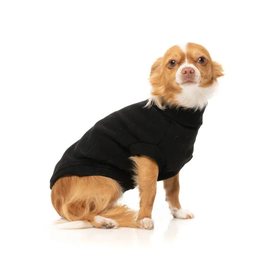 Fuzzyard Stevie Dog Sweater - Black - Fuzzyard - 1