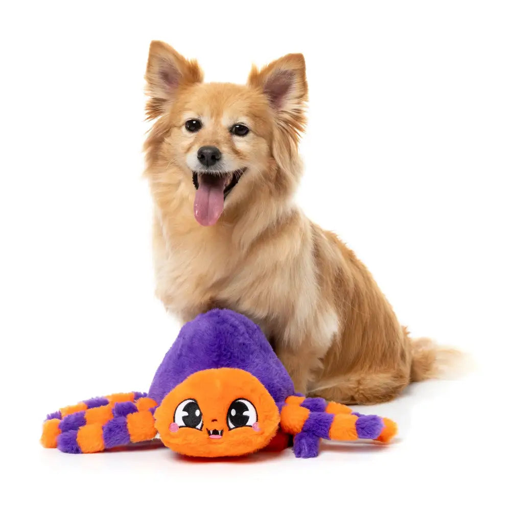 Fuzzyard Tarantina the Spider Squeaky Plush Dog Toy - Fuzzyard - 2