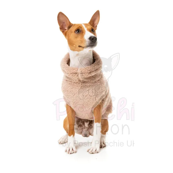 Fuzzyard Turtle Teddy 24 Sweater - Chai - Fuzzyard - 4