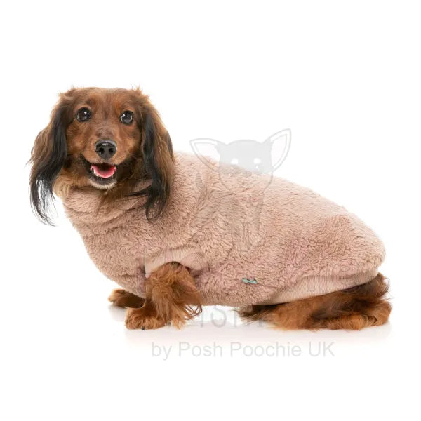 Fuzzyard Turtle Teddy 24 Sweater - Chai - Fuzzyard - 5