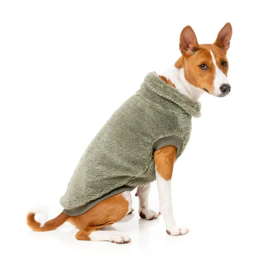 Fuzzyard Turtle Teddy 24 Sweater - Rosemary - Fuzzyard - 1