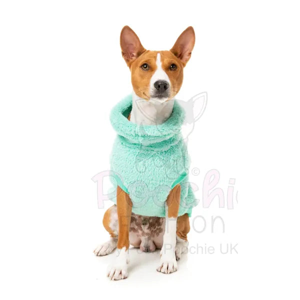 Fuzzyard Turtle Teddy 24 Sweater - Teal - Fuzzyard - 4
