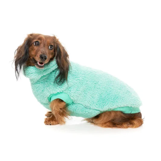 Fuzzyard Turtle Teddy 24 Sweater - Teal - Fuzzyard - 1
