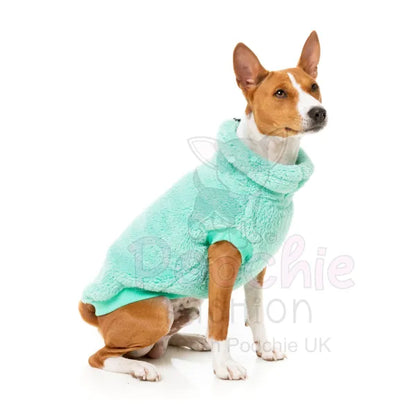 Fuzzyard Turtle Teddy 24 Sweater - Teal - Fuzzyard - 6