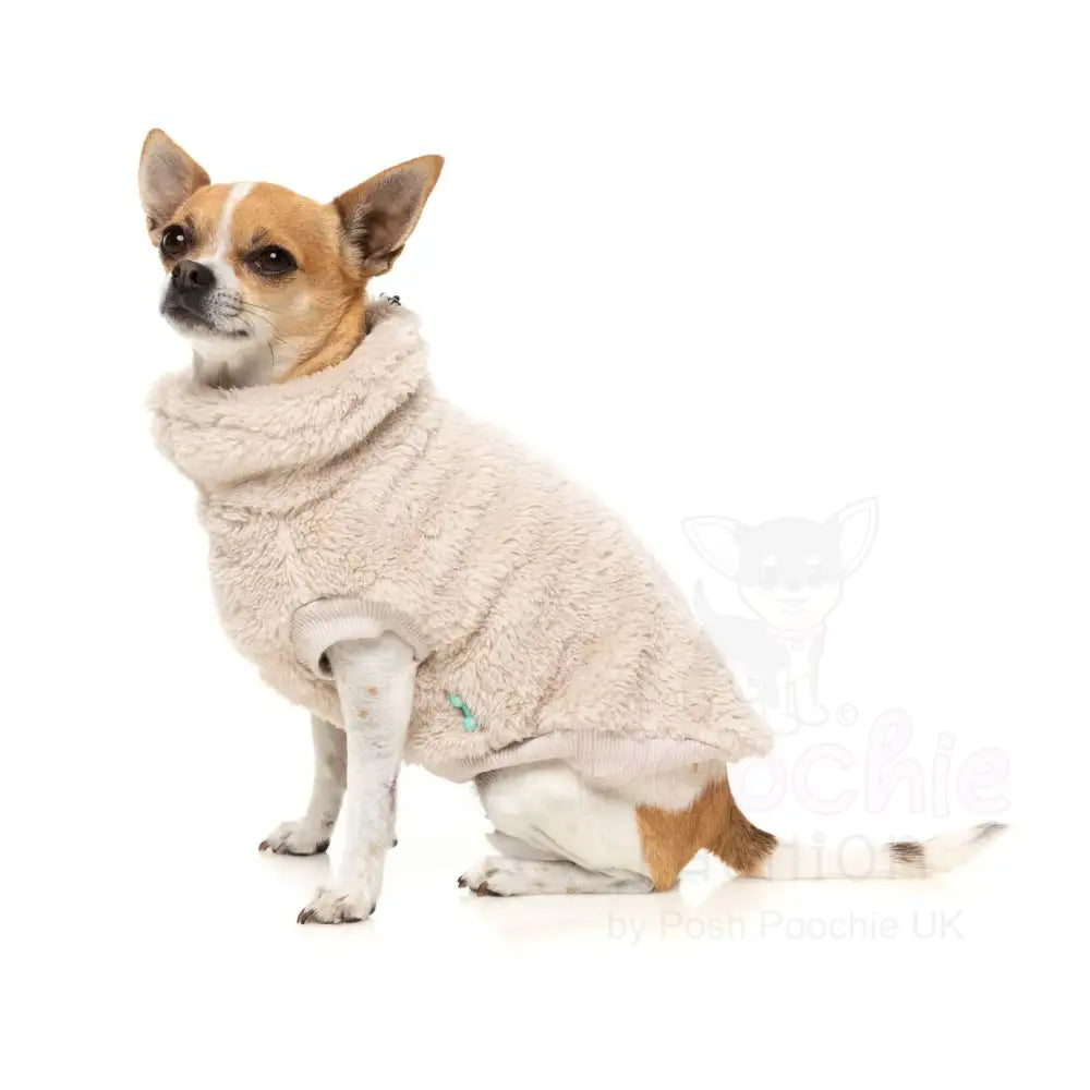 Fuzzyard Turtle Teddy 25 Sweater - Beige - Fuzzyard - 2