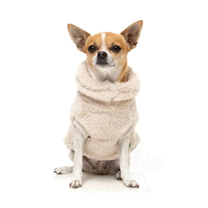 Fuzzyard Turtle Teddy 25 Sweater - Beige - Fuzzyard - 4