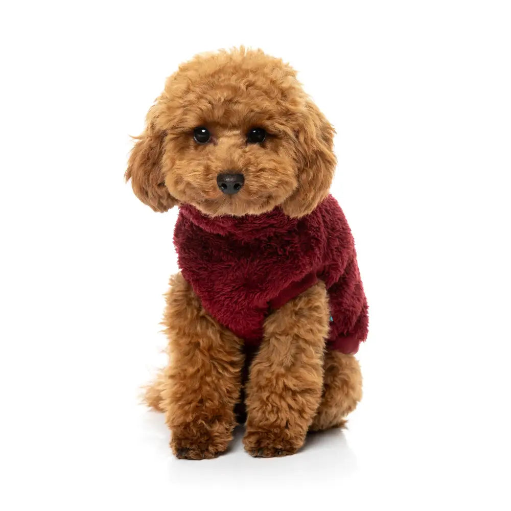 Fuzzyard Turtle Teddy Dog Fleece Jumper - Maroon - Fuzzyard - 3