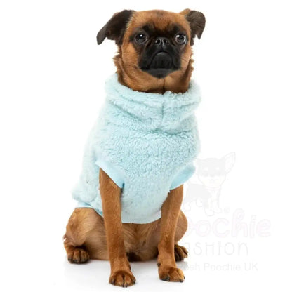 Fuzzyard Turtle Teddy Sweater - Artic Ice - Fuzzyard - 4