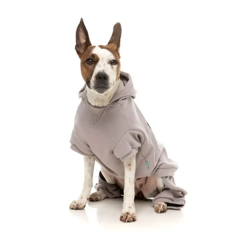 Fuzzyard Urban Dog Tracksuit - Cool Grey - Fuzzyard - 3