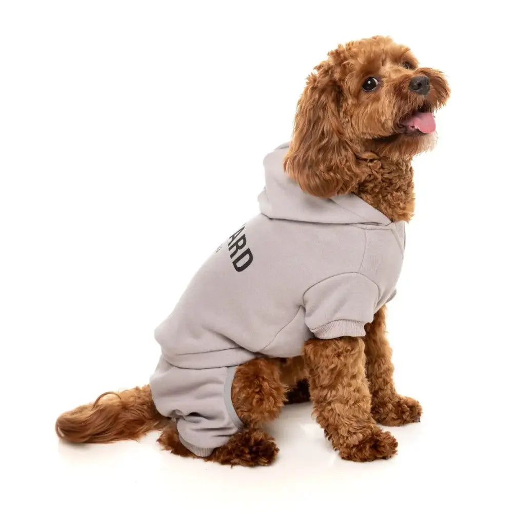 Fuzzyard Urban Dog Tracksuit - Cool Grey - Fuzzyard - 7