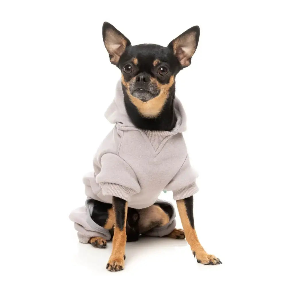 Fuzzyard Urban Dog Tracksuit - Cool Grey - Fuzzyard - 6