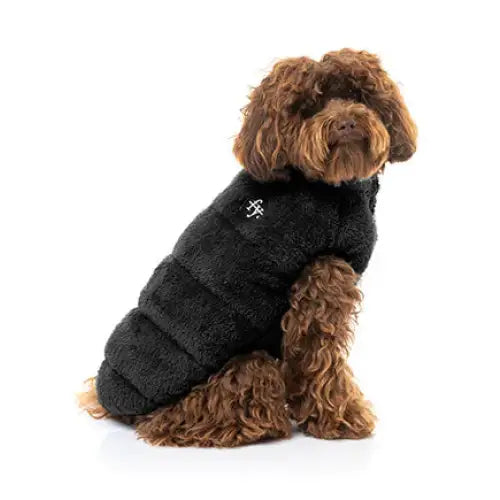 Fuzzyard Vaucluse Dog Jacket - Black - Fuzzyard - 1