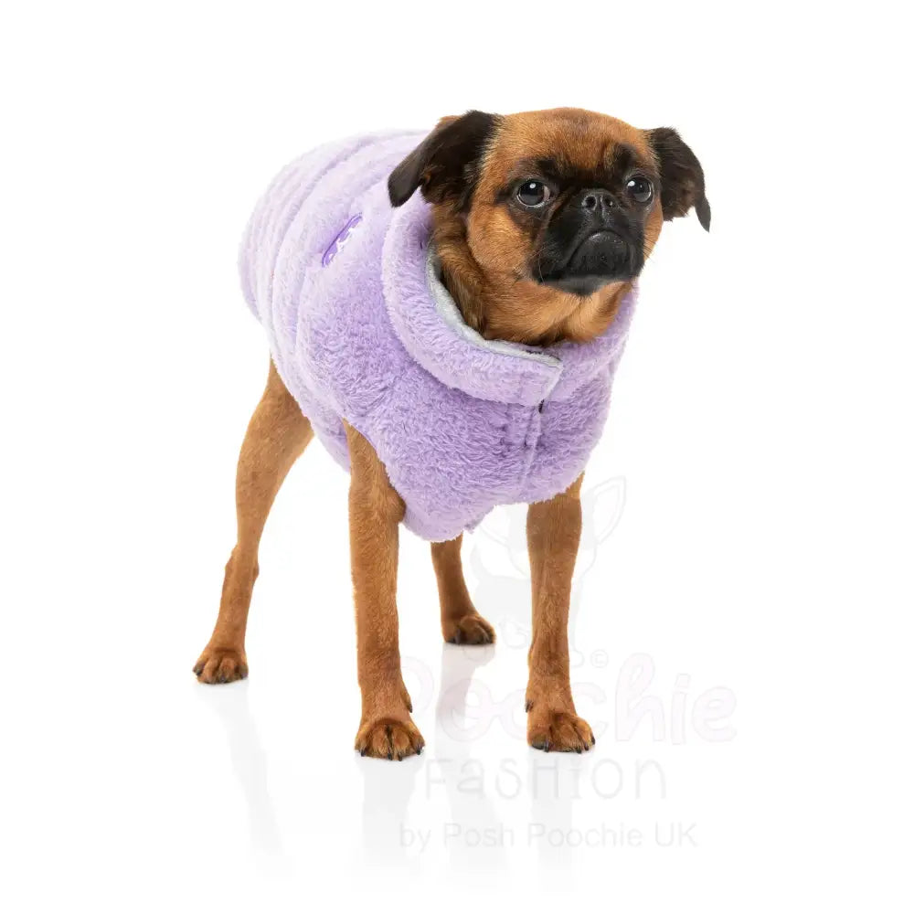 Fuzzyard Vaucluse Dog Jacket - Lilac - Fuzzyard - 5