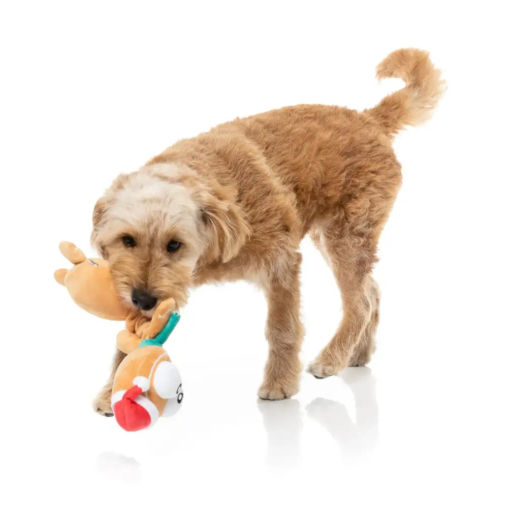 Fuzzyard Veronecka the Gingerbread Plush Christmas Dog Toy - Fuzzyard - 2