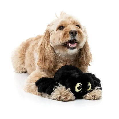 Fuzzyard Webastian the Redback Spider Squeaky Plush Dog Toy - Fuzzyard - 2