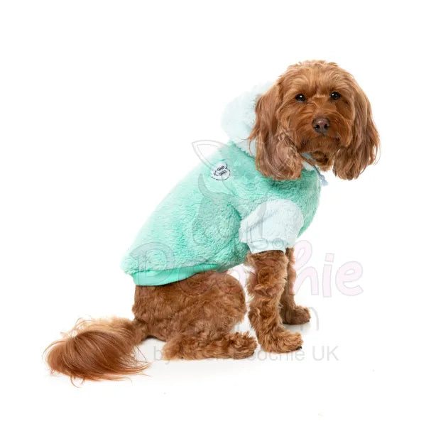 Fuzzyard Winnie Hoodie - Teal - Fuzzyard - 4